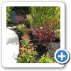 planting-services-in-massachusetts